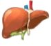 Liver Cirrhosis & Liver Failure Expert